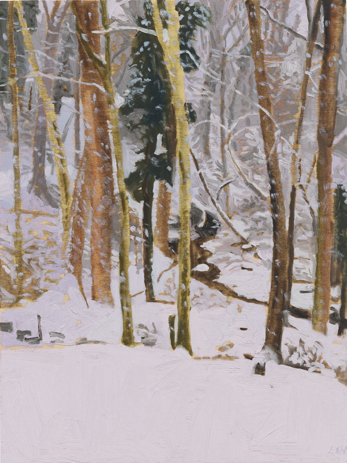 Snowstorms in January