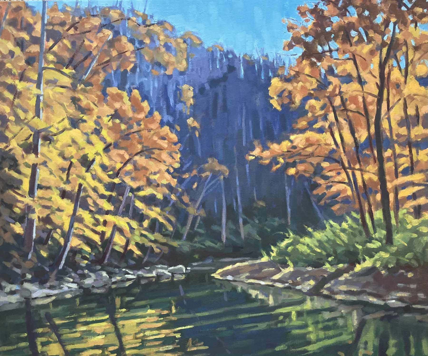 Back Creek Hike
