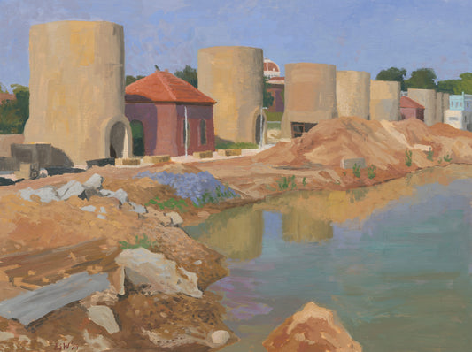 Towers with Pond in Afternoon