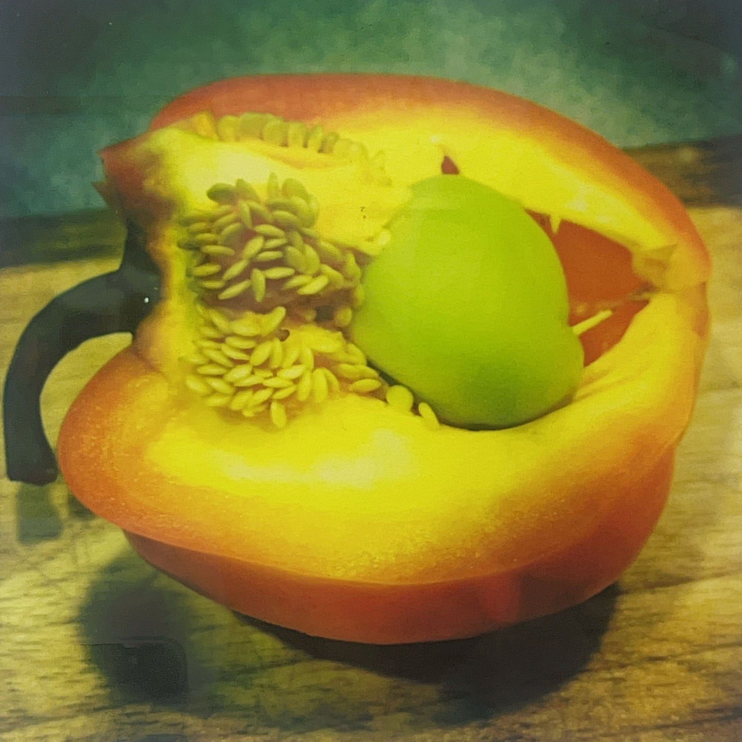 Pregnant Pepper By Stephanie Gross