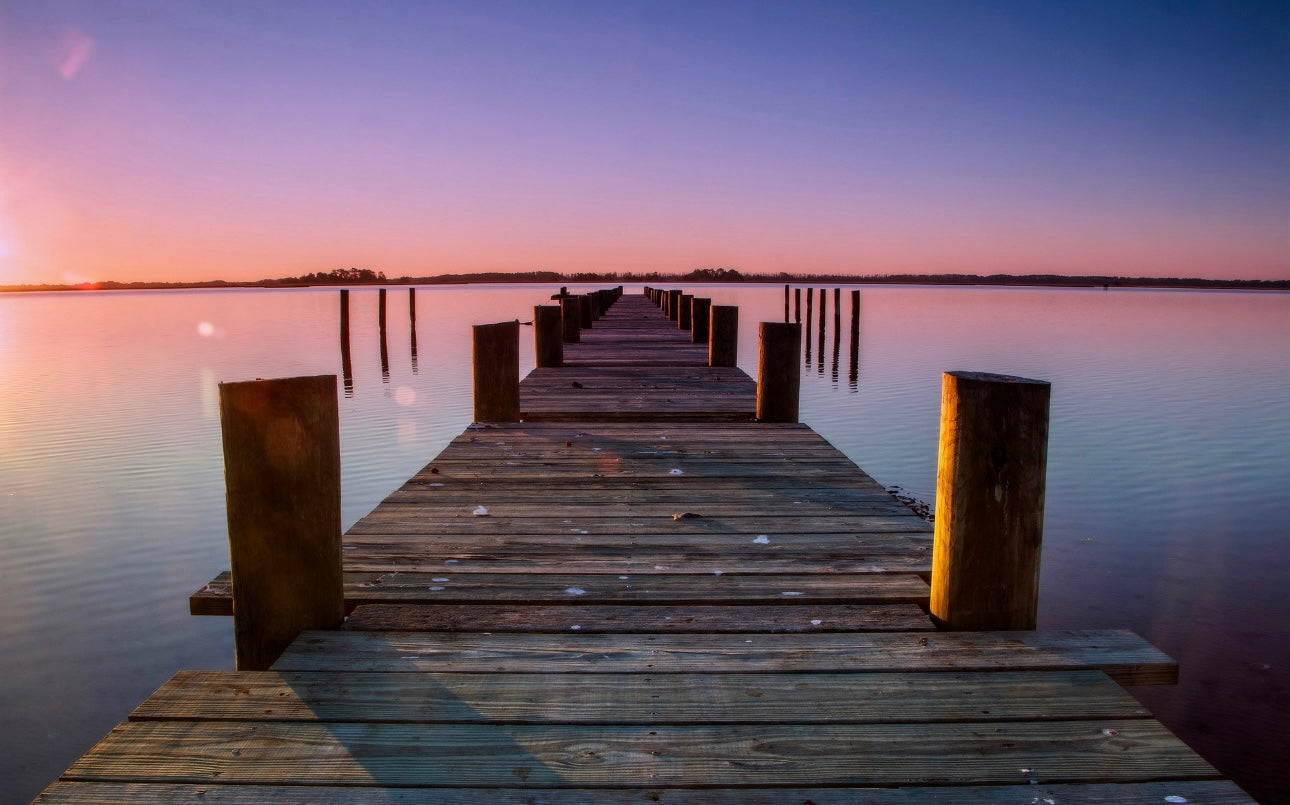 Assateague View By Alan Raasch