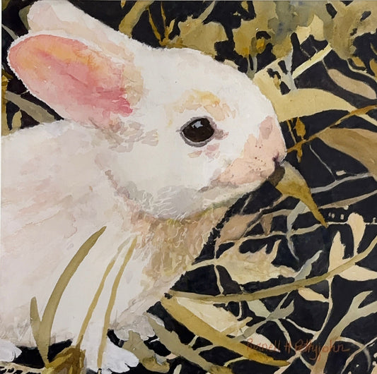 Clarice