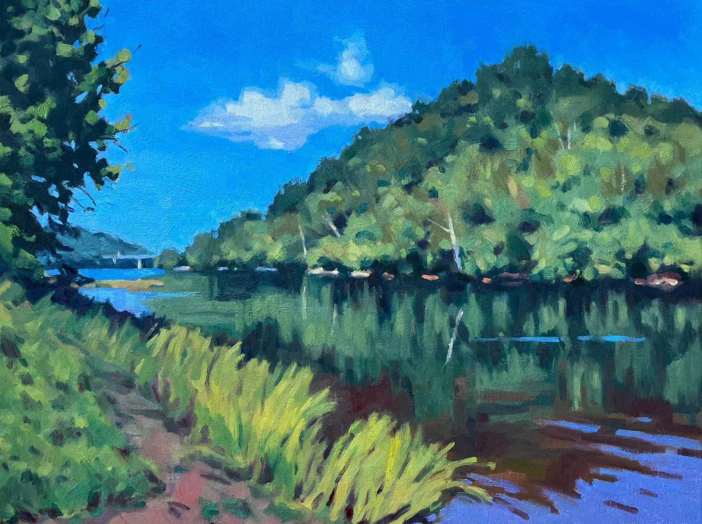 Percivals Island View