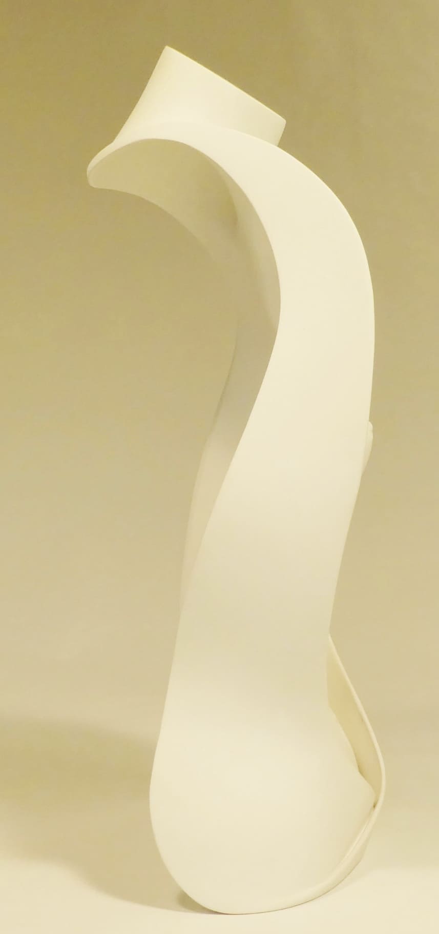 Torso By Thomas Haney