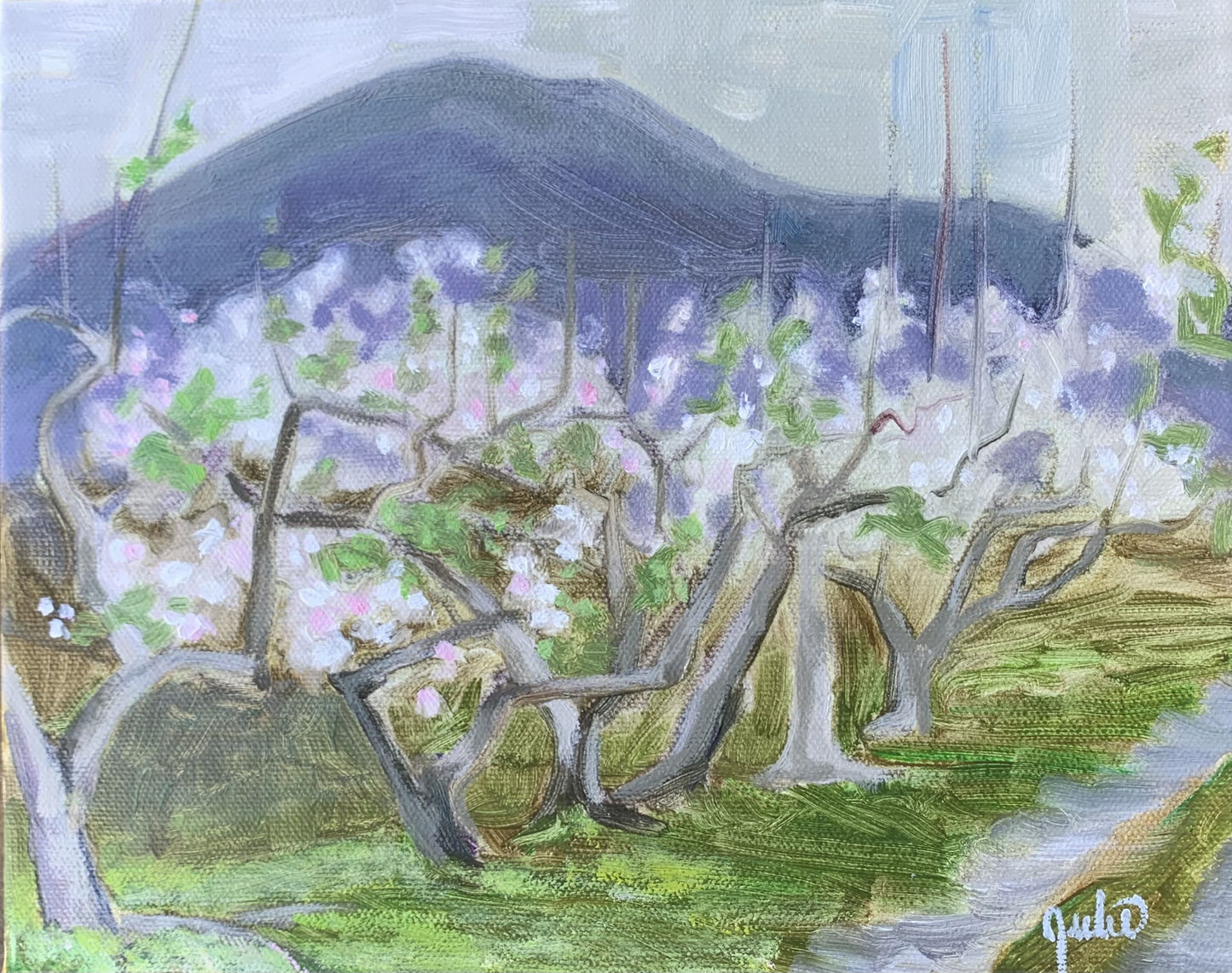 Apple Trees at Gross Orchard