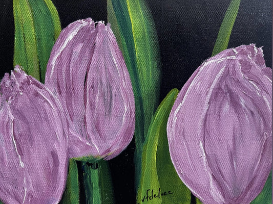 Tulips