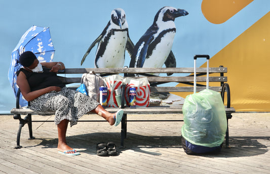 Coney Island Arctic Breeze By Karen Covey