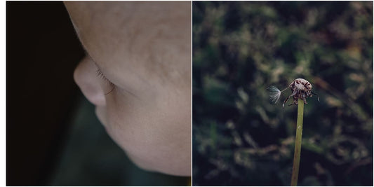Chemo and the Wind By Laura Beth Davidson