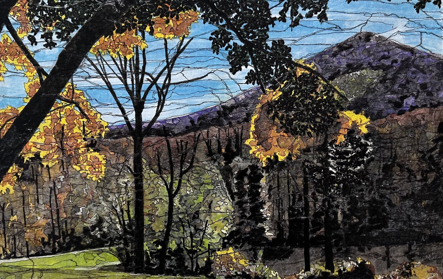 View From the Valley