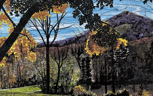 View From the Valley