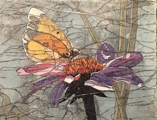 Butterfly on Blossom