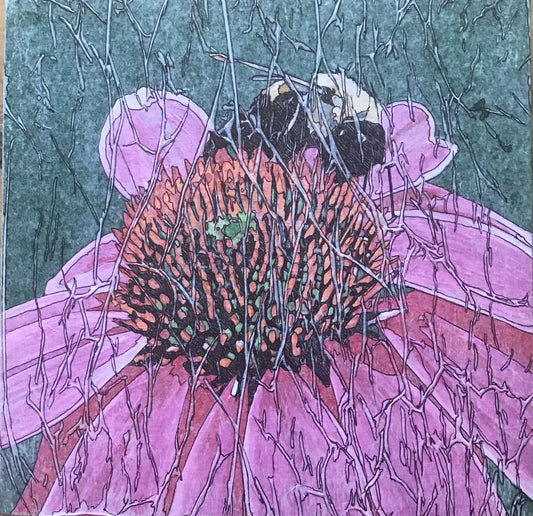 Coneflower Bee