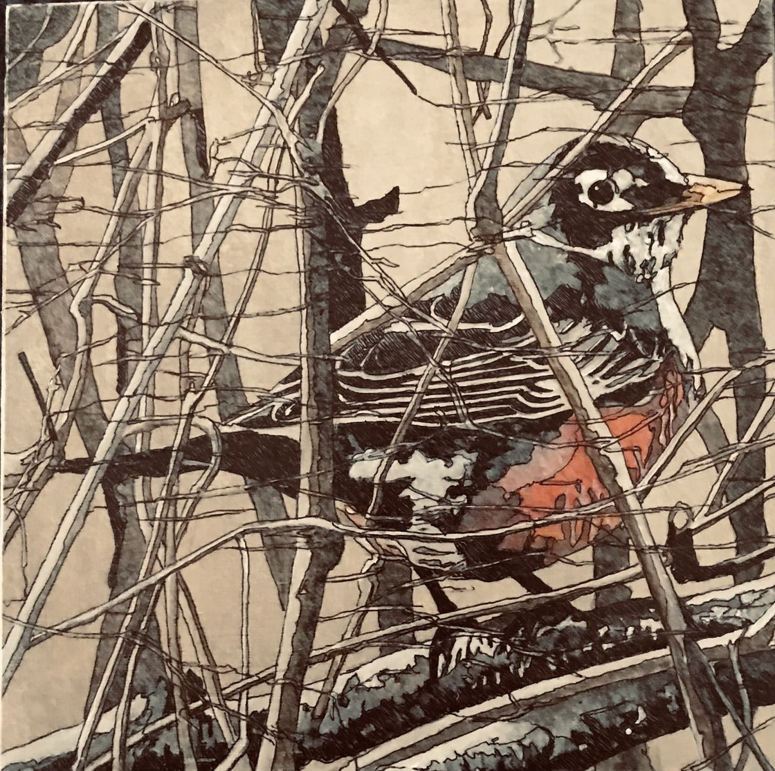 Robin in the Reeds
