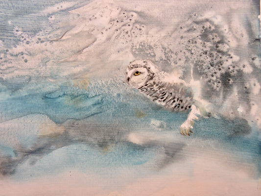 In Flight