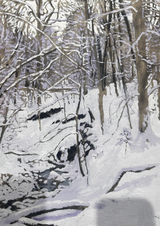 Morning After Snowfall