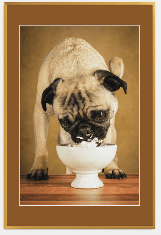 Instant Gratification