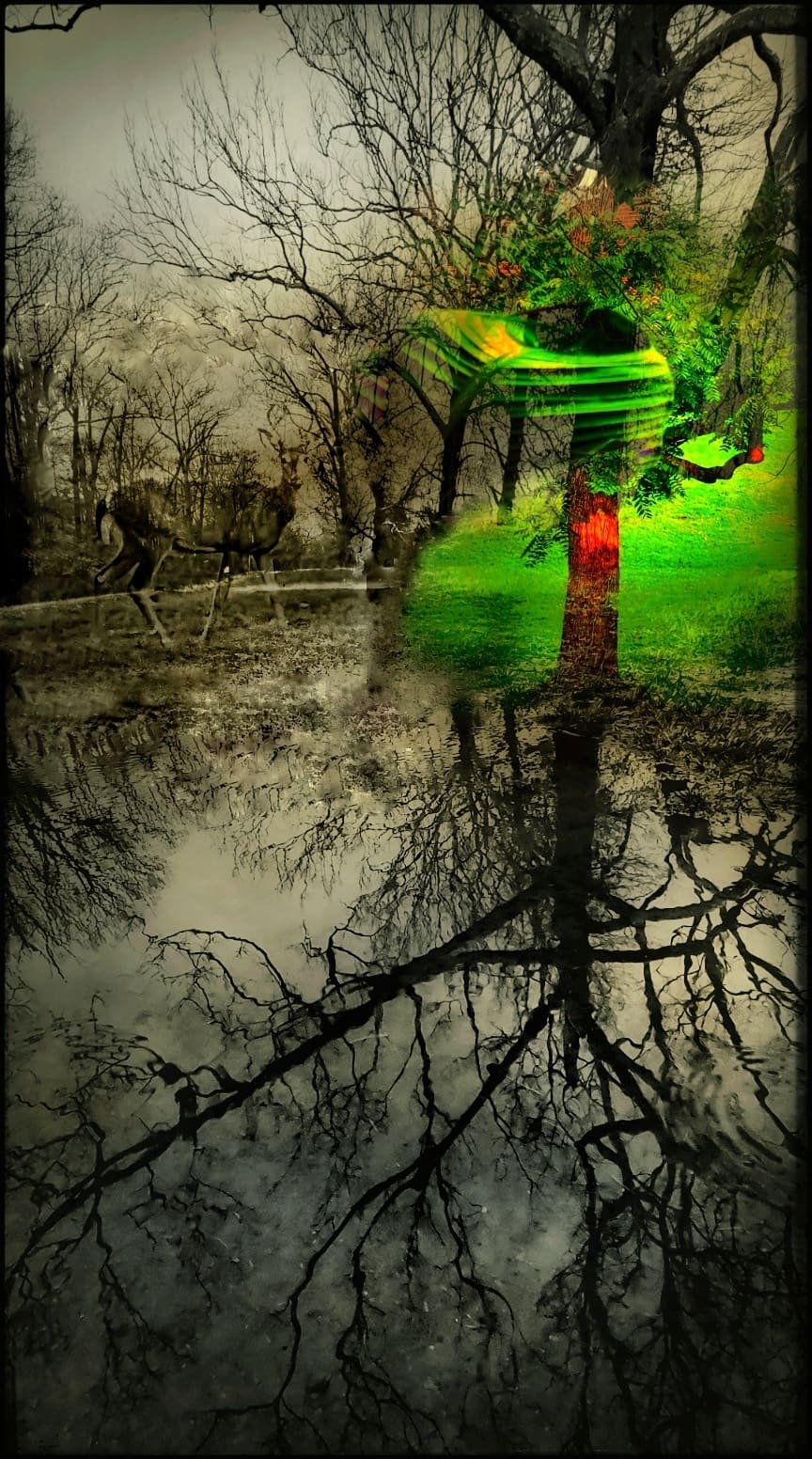 Buck on Cusp of Winter