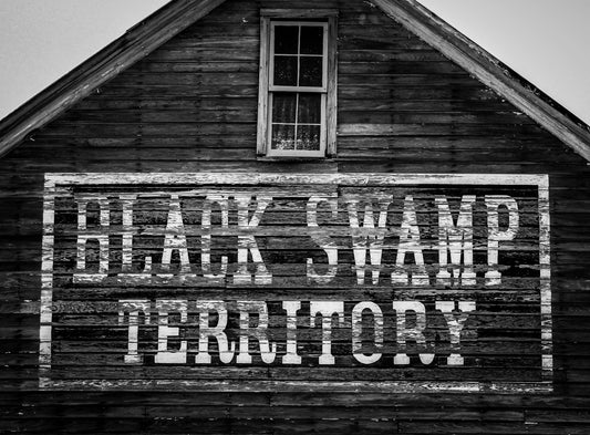 Black Swamp By Jaime Lucas