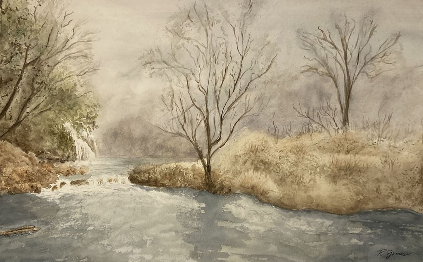 Landscape in the Winter