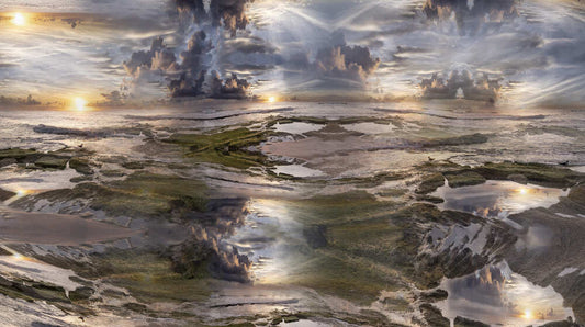 Rises in the….. By Pippi Miller