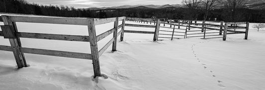 Don’t Fence Me In #4 By SL Murray