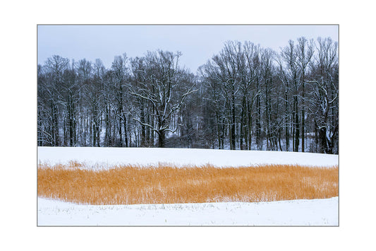 Sweet Briar Snow