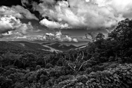 Cloud Dance By Alan Raasch