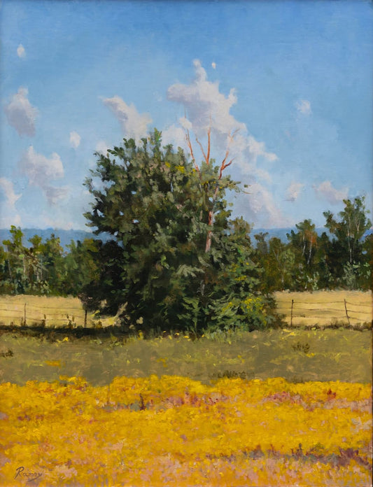 September Wildflowers