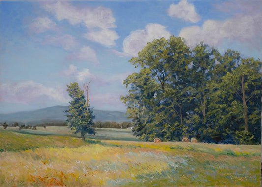 Spring Fields Near Wolftown, VA