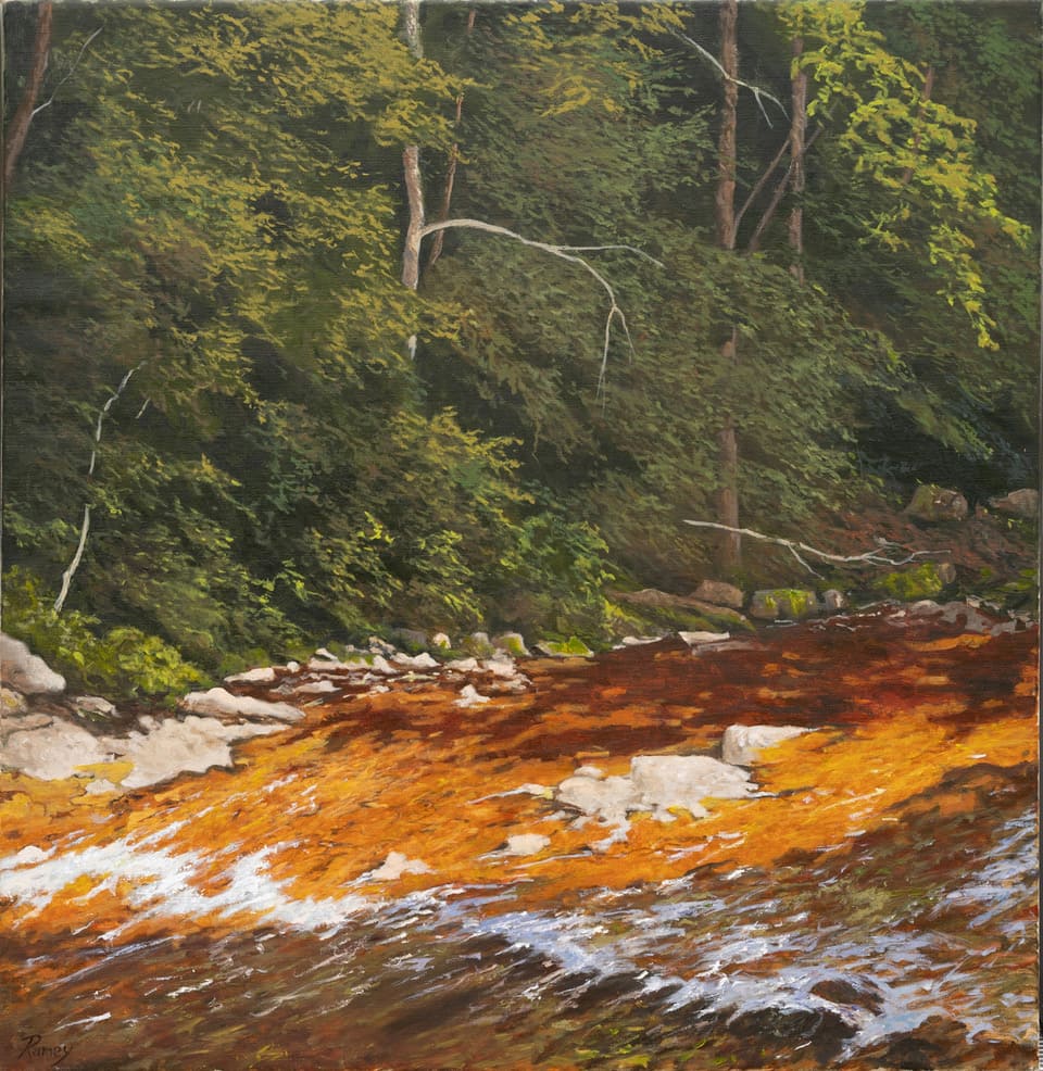 A Sunny Place on the Bullpasture River