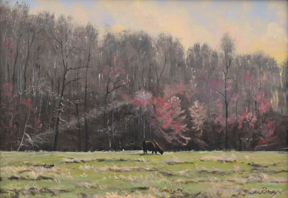 A Ray of Light Through Budding Maple