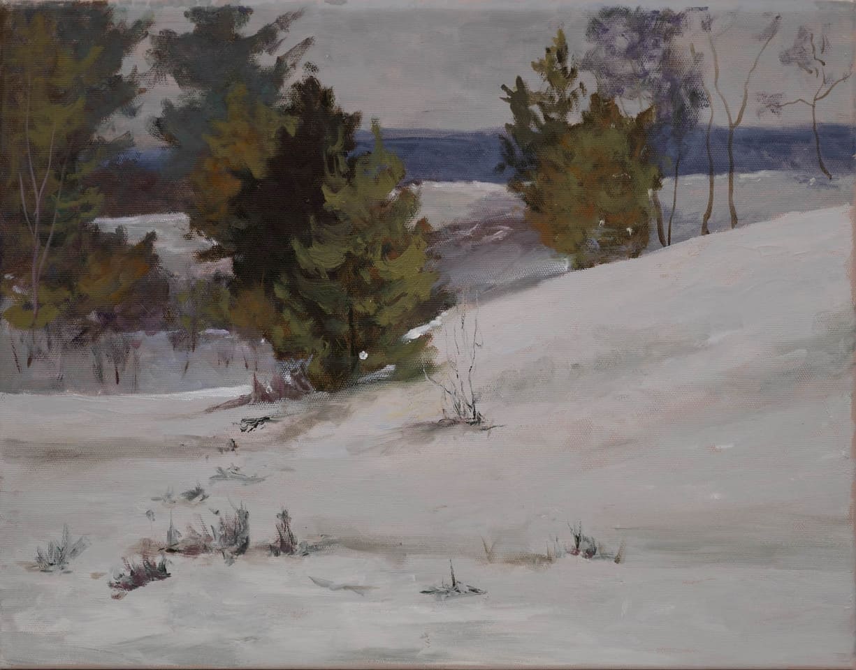 Cedars Along the Cox Mill Road