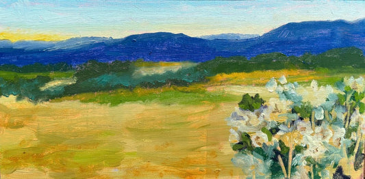 Roadside Redolence