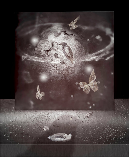 In Memoriam 26 By Robert Sulkin