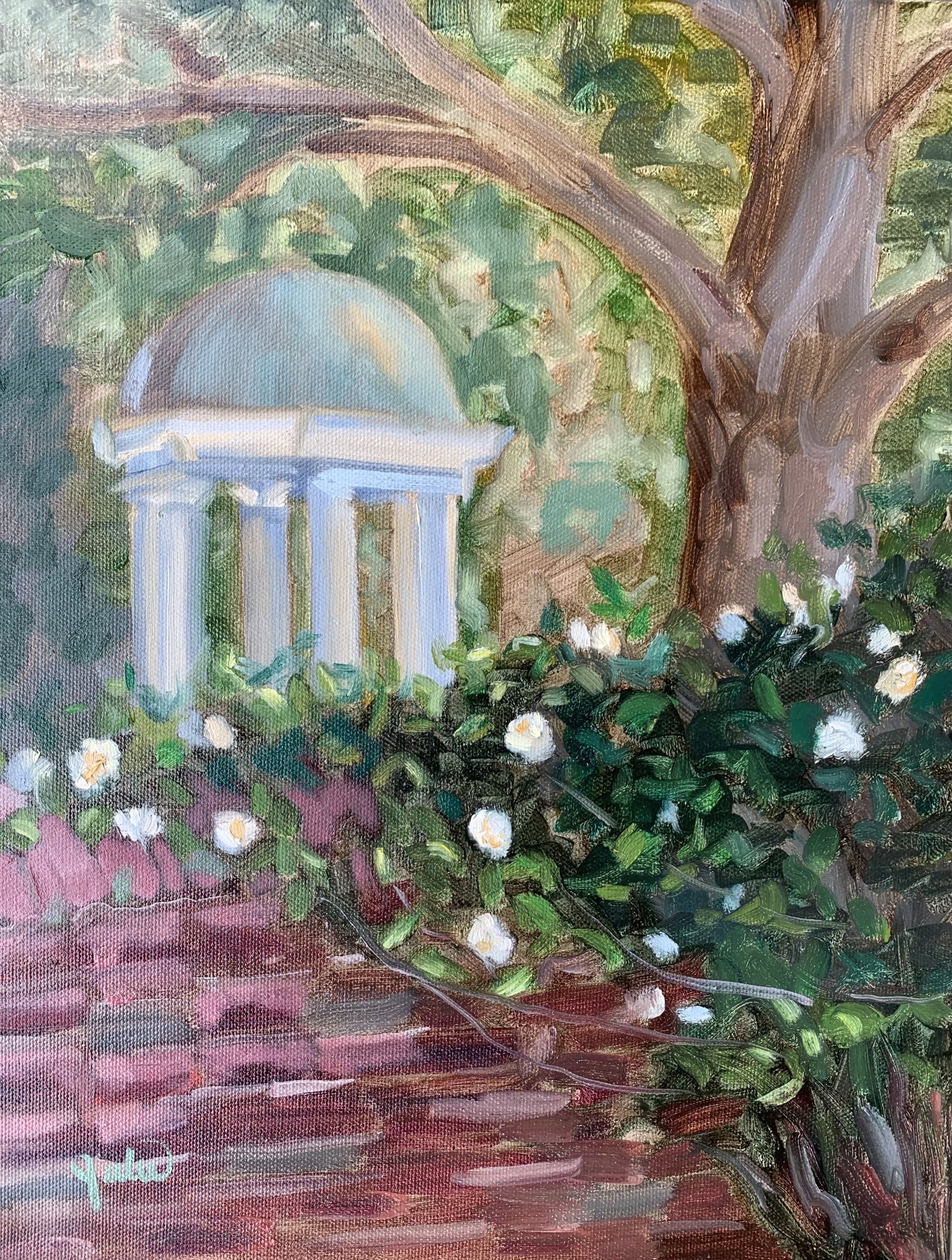 Roses on the Wall