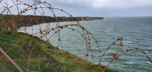 Normandy 80 Years By Deirdre Serio