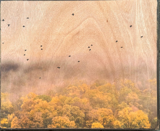 Flight By Sam Krisch