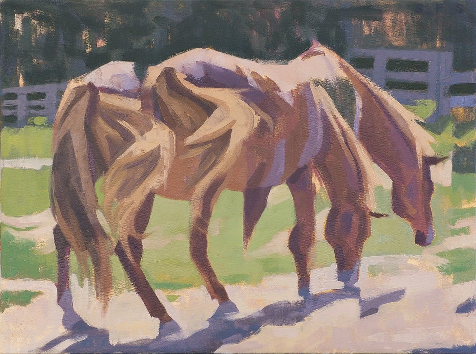 Horse in Sunlight
