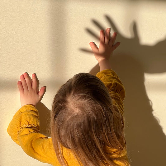 Shadow Play By Tabitha Zimmerman
