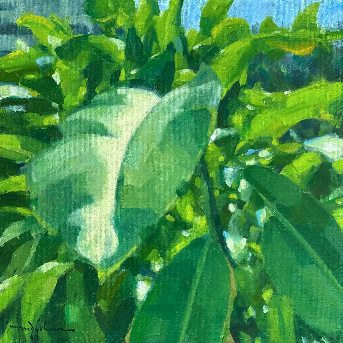 Tropical Leaves