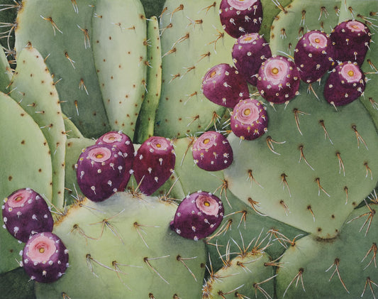 Prickly Pear Cactus By Craig Wright