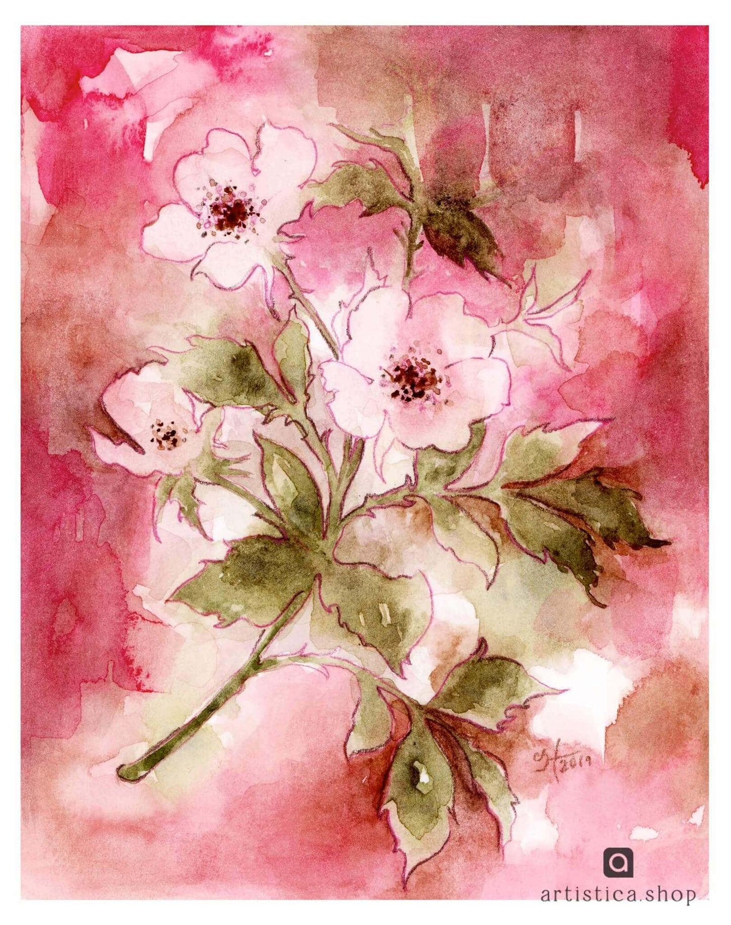 Cherry Blossoms watercolor print