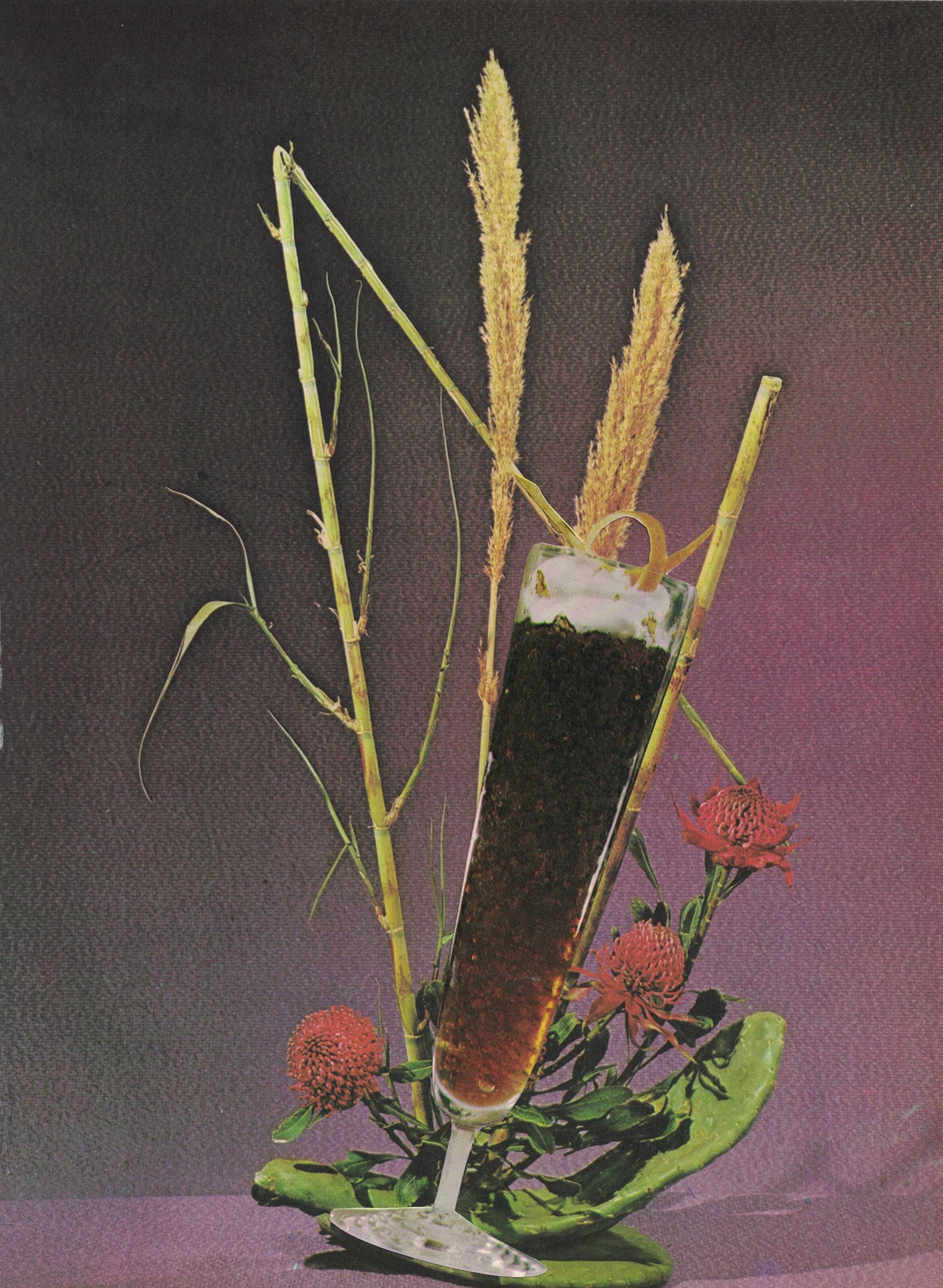 Fizz