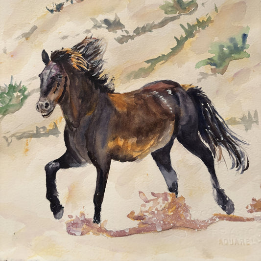 Run with the Wind