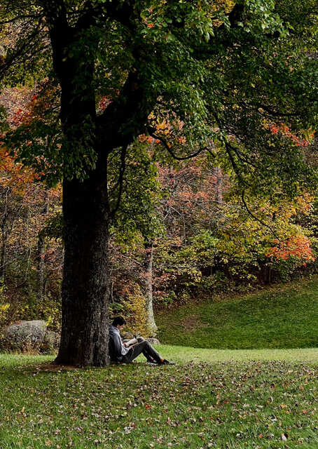Solitude at the Last Light of the Day By Elaine Lee