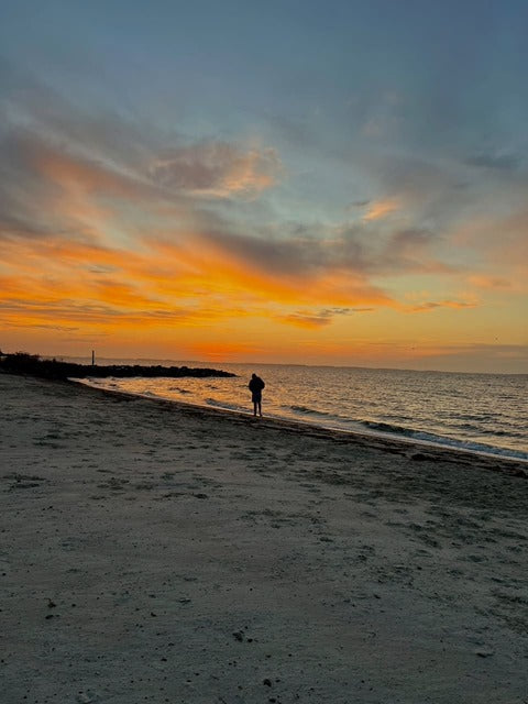 The Fine Before the Dawn By Elaine Lee