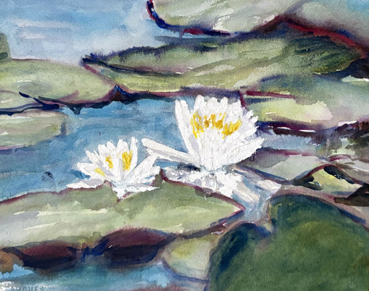 Waterlilies